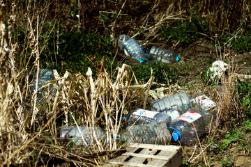 plastic bottles in the forest trash