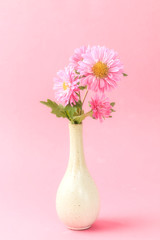 Beautiful blooming chrysanthemums