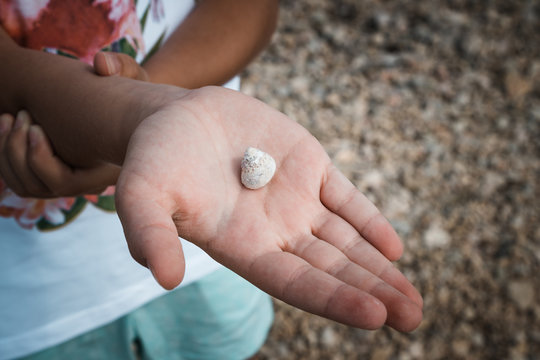 shell in the hand of a girl standing on a rocky shore