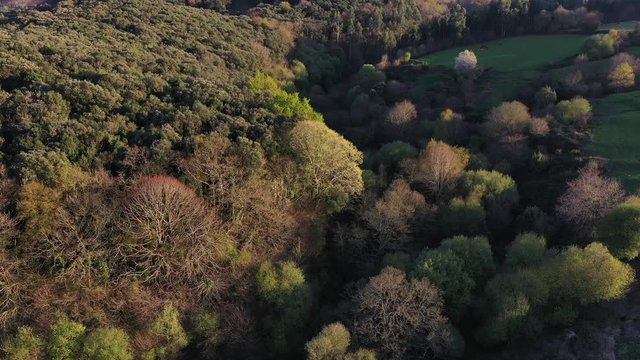 Aerial view, Springtime, Tarrueza, Laredo, Cantabria, Spain, Europe