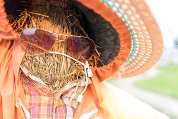 The scarecrow wear glasses and hat, close up shot