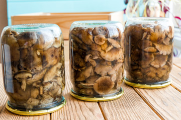 Armillaria fried mushrooms in a glass jar