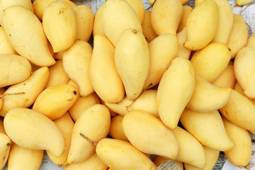Mango fruit pattern for background.