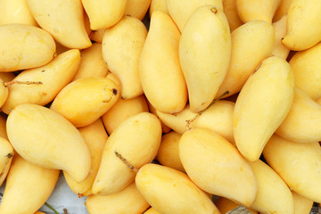 Mango fruit pattern for background.