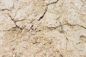 Soil surface. Clay and sand. Texture, close-up