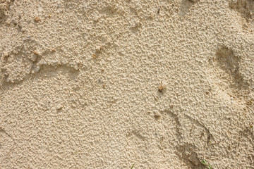 The texture of the sand surface after rain. Background. Close-up
