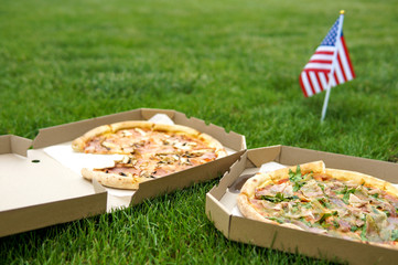 Celebrating Independence Day of America in the park with delicious pizza