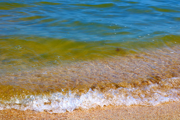 Little frothy waves of the sea on the sandy beach. Foamy wave rolls on the Golden sand of the beach. Detailed, abstract and simple background.