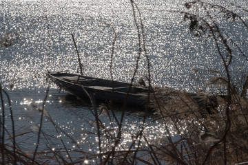 手賀沼の岸辺に係留されている日本式の漁船