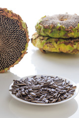 Delicious sunflower fruit