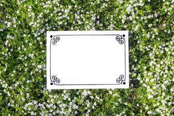 Empty plate with a frame of black patterns on a cover of herbs and flowers of violets