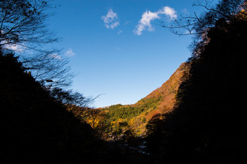 暗い谷間から暖かい日差しのある紅葉の野山を望む