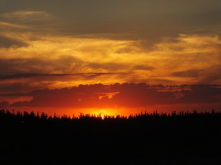 Fototapeta premium sunset