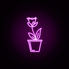 peony in pot neon icon. Elements of flower set. Simple icon for websites, web design, mobile app, info graphics