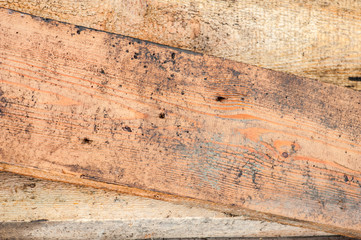 Wooden texture. Wood background
