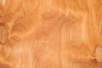 Wooden texture. Wood background