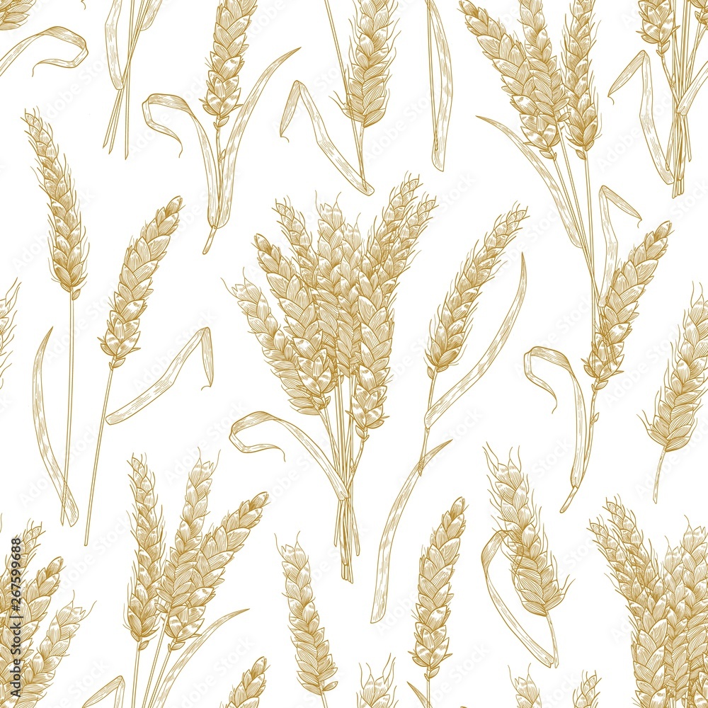 Poster natural seamless pattern with wheat ears on white background. backdrop with cultivated cereal plant,