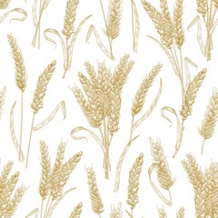 Natural seamless pattern with wheat ears on white background. Backdrop with cultivated cereal plant, grain or crop. Realistic vector illustration in retro style for wrapping paper, fabric print.