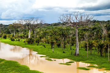 Fototapeta premium Rio madeiras e usinas Do rio madeira 