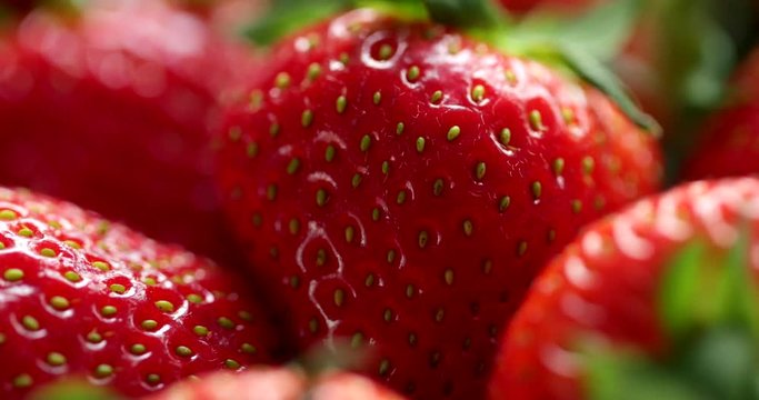 Close Up Of Summer Strawberries Rotating In Front Of Camera