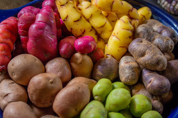Andean Potatoes Varieties - closeup