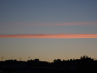 Parco, alberi, nuvole, fiori a Roma