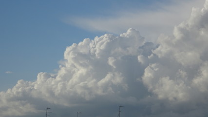 Parco, alberi, nuvole, fiori a Roma