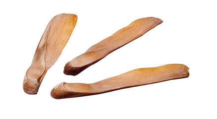 brown mahogany seed on white background , Clipping Path