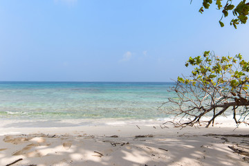 White sandy beach in the Maldives