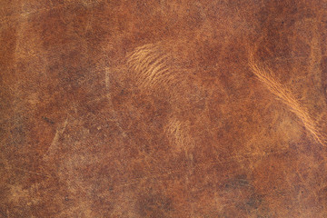 abstract leather texture