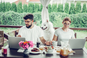 Serious focused married couple engaging in remote work on laptops