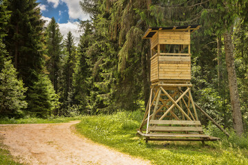 Fototapeta na wymiar Huntsman tower in the forests of the Black Forest. Germany