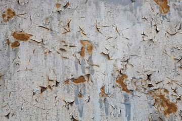 Grayish Old Weathered Rusty Metal Texture