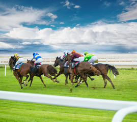 Horse racing outdoor derby