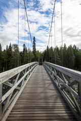 Fototapeta na wymiar Wanderweg über eine Hängebrücke in Skandinavien