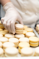 Fototapeta na wymiar Baker making almond flour dessert. Industry food, mass or volume production. Macaroons shells in a tray fresh from oven. Process of making macaron macaroon, french dessert.
