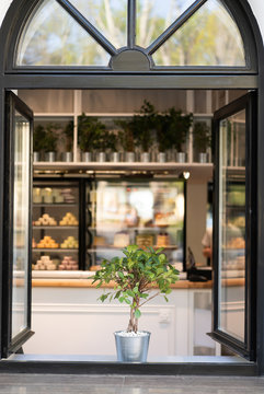 The window of the cozy cafe restaurant in which on the windowsill is green ficus and on the background of a showcase with desserts, cakes, macaroons and muffins.