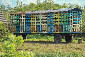  hives in the spring grass, Sunny day, environmental product