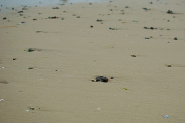  Sand and small stones on the sea beach