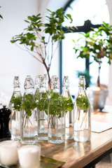 Many bottles of refreshing cold water with mint leaves and citrus on a wooden table in a cafe. Against the backdrop of an atmospheric and cozy restaurant with ficus and windows of natural light.