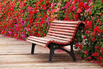 Spain. Valencia. Pont de les Flors. Empty bench on the background of beautiful flowers.