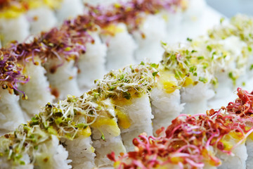Sushi rolls and sprout on top 