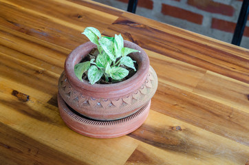 sea salt in bowl on wooden table