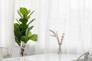 green plant in a room