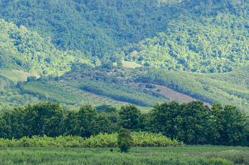 landscape in the mountains