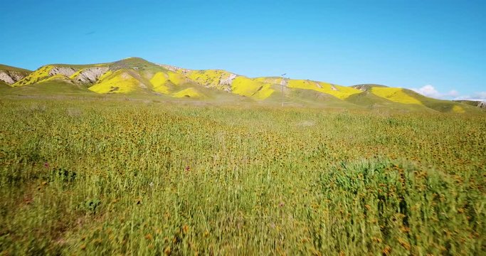 Temblor Range and Carrizo Plain