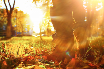 Walking along the path in the leaves