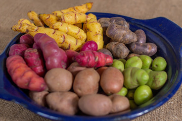 Andean  Potatoes Varieties - burlap