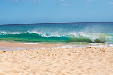 Big Beach Wave
