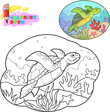 Cute cartoon sea turtle, coloring book, funny illustration